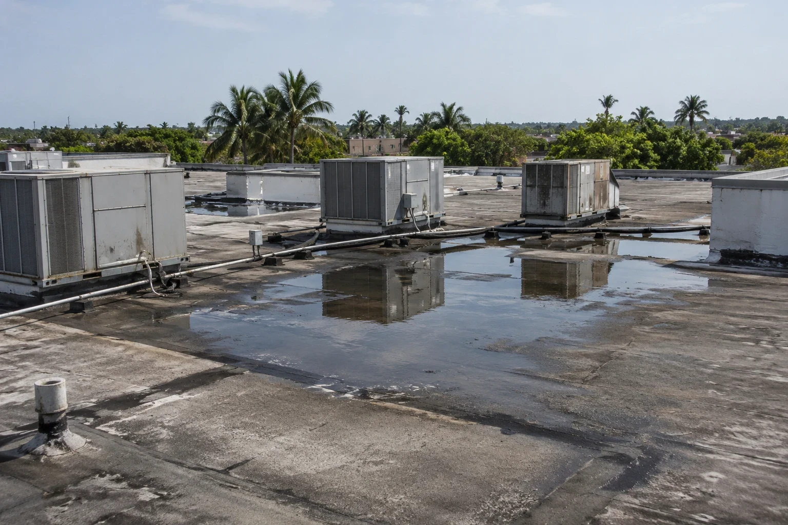 Commercial Roof Leak Repair in Honolulu, HI