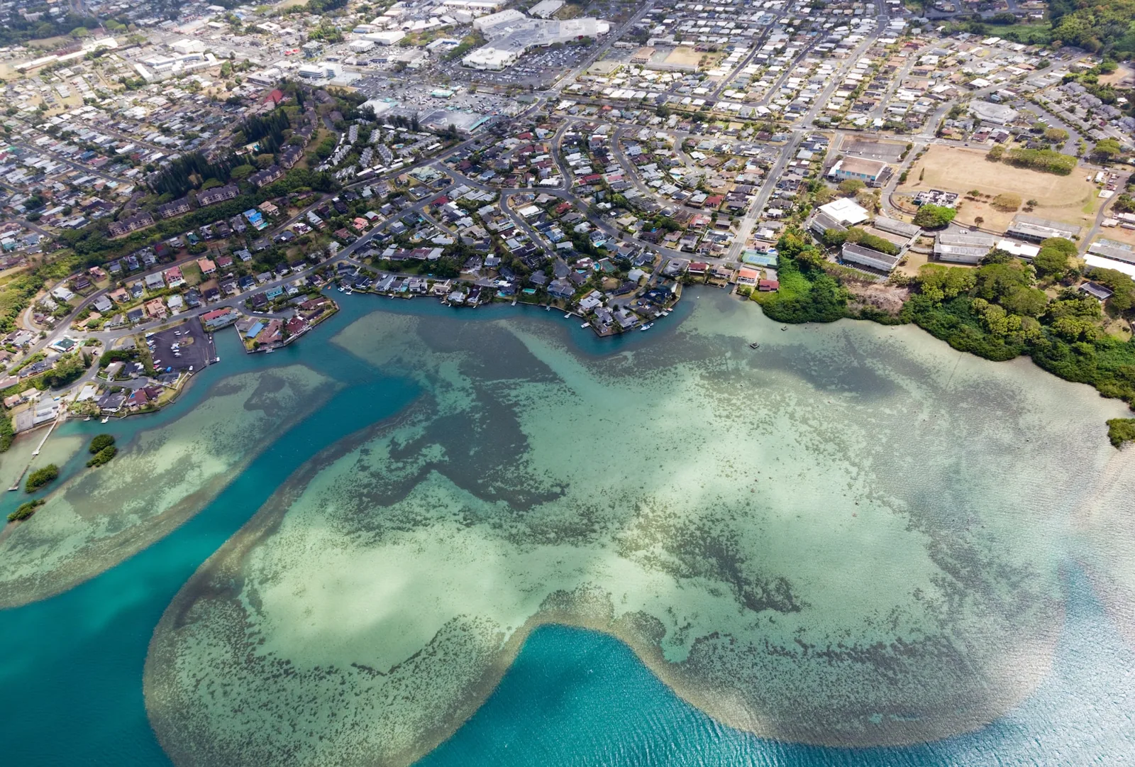 Manoa in Honolulu, HI