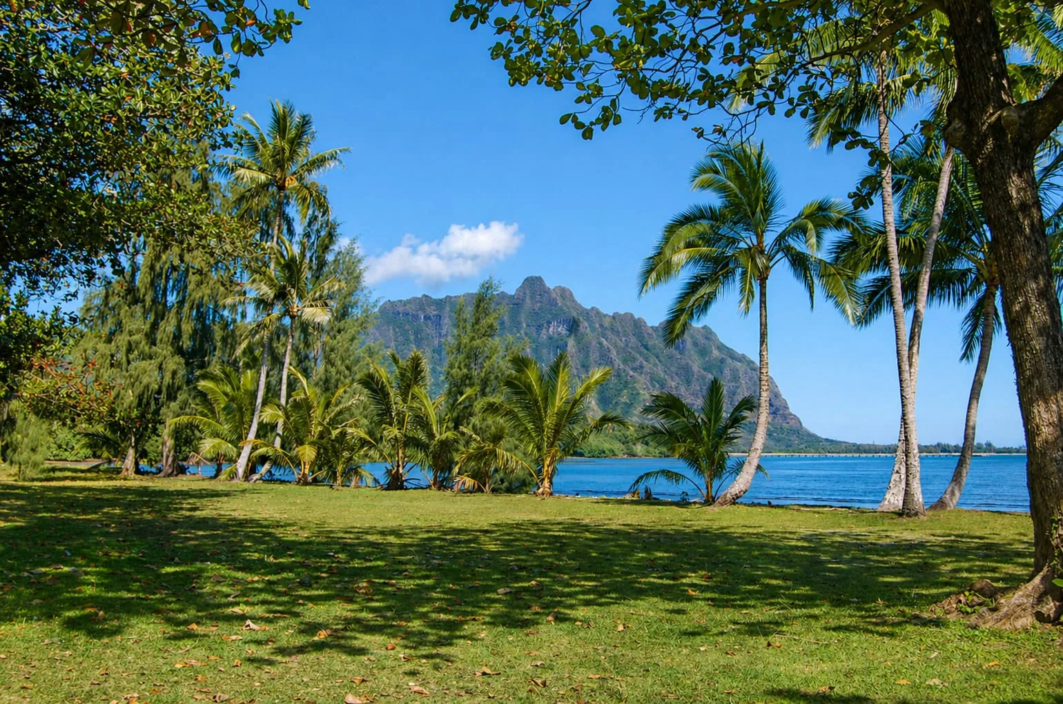 Kaimuki in Honolulu, HI